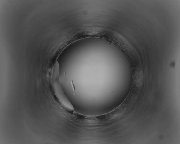 X0000091690510200708231443