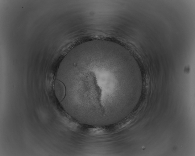 X0000091690511200708231443