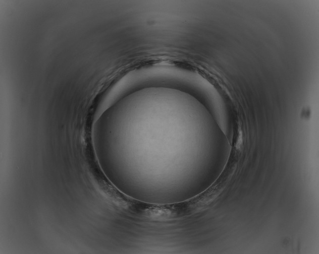 X0000091690512200708231443