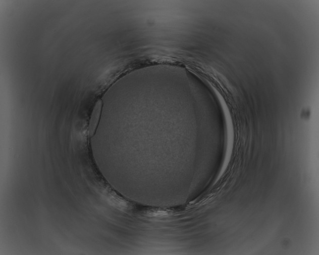 X0000091690513200708231443