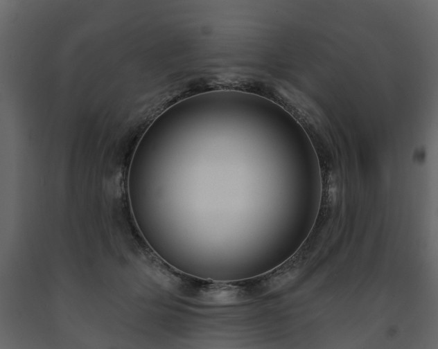 X0000091690514200708231443