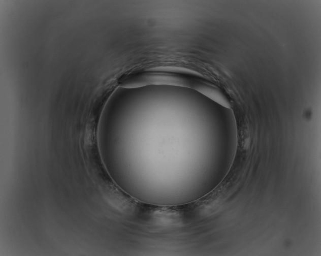 X0000091690515200708231443