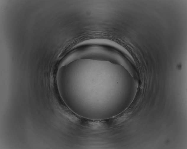 X0000091690516200708231443