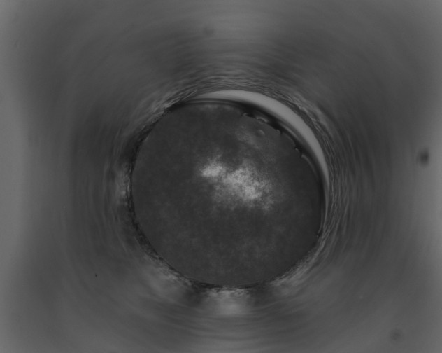 X0000091690517200708231443