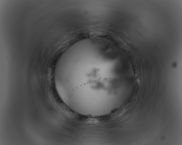 X0000091690519200708231443