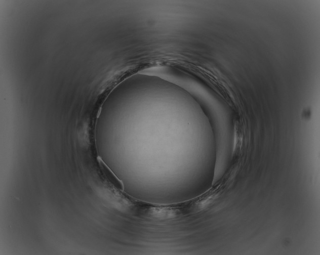 X0000091690520200708231443