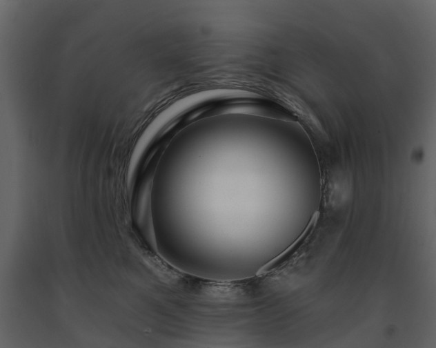 X0000091690521200708231443