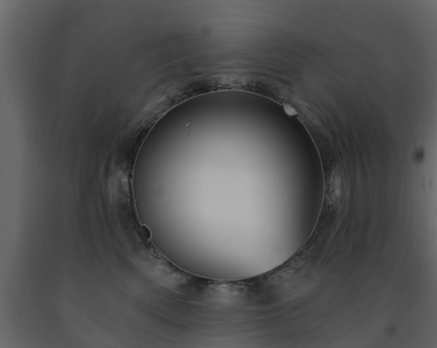 X0000091690522200708231443