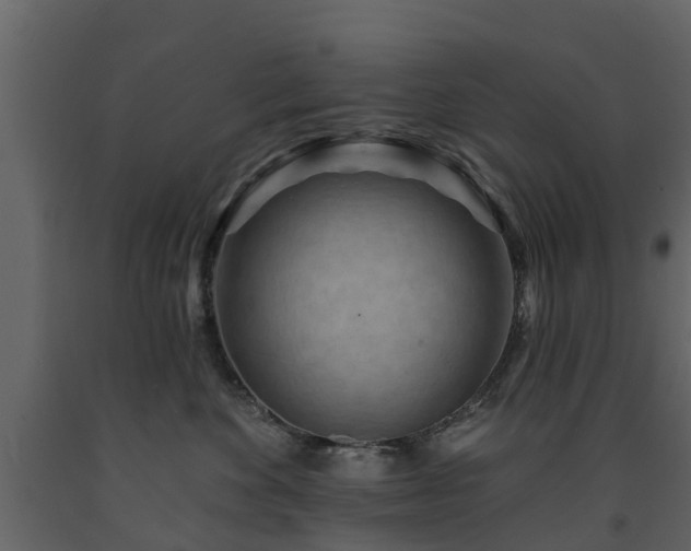 X0000091690524200708231443