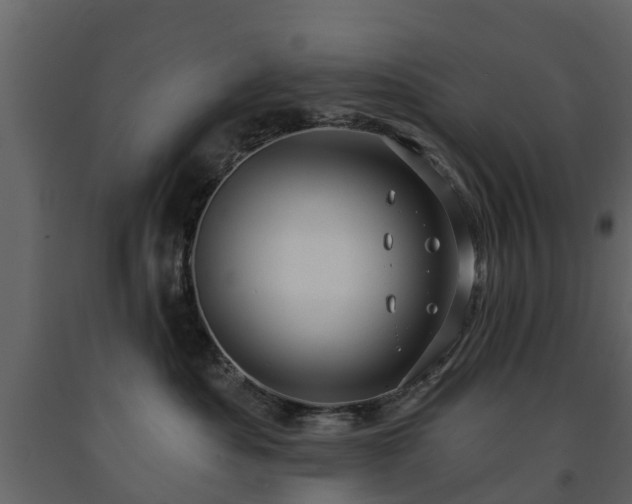 X0000091690525200708231443