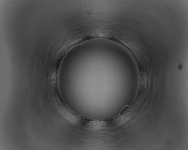 X0000091690526200708231443