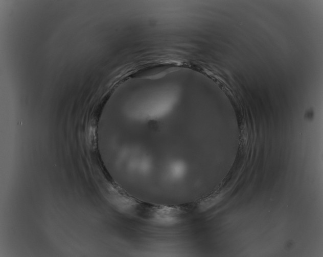 X0000091690527200708231443