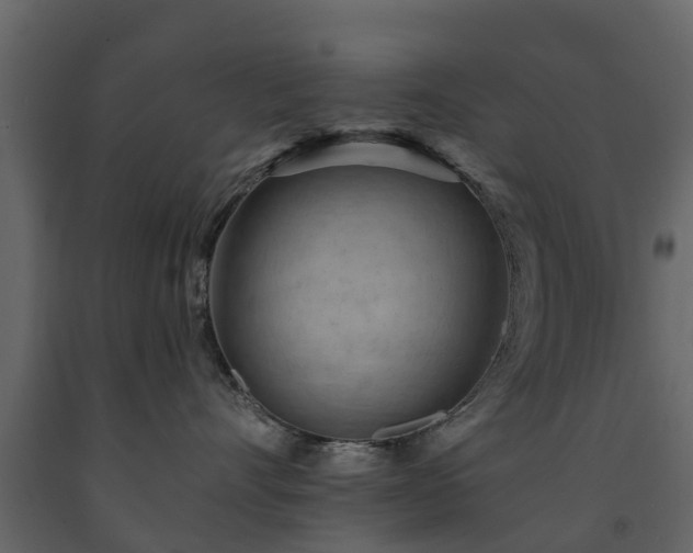 X0000091690528200708231443