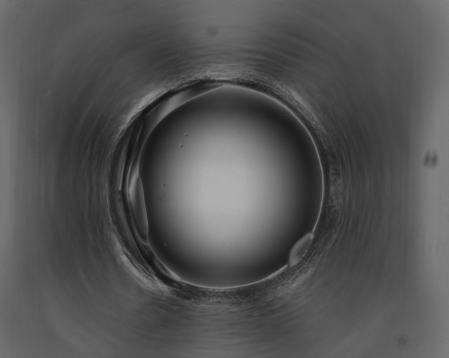 X0000091690530200708231442