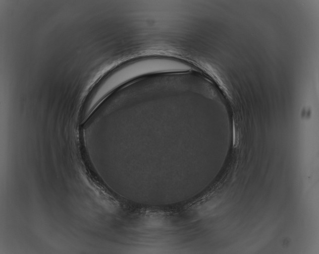 X0000091690531200708231442