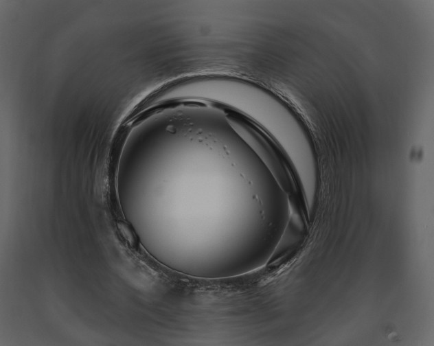 X0000091690532200708231442