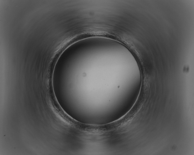 X0000091690533200708231442