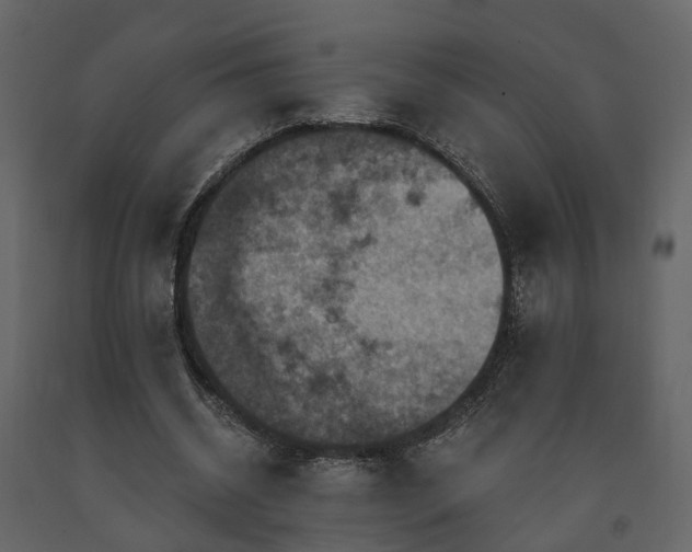 X0000091690534200708231442