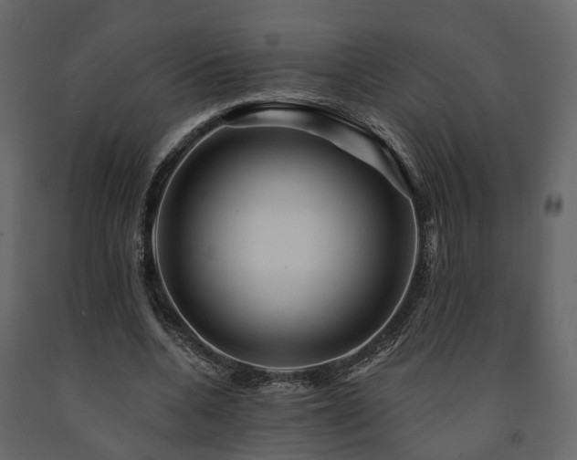 X0000091690536200708231442