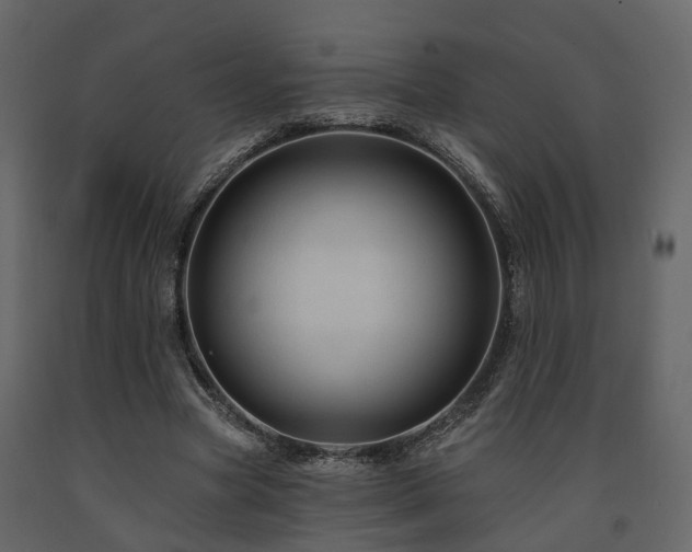X0000091690537200708231442