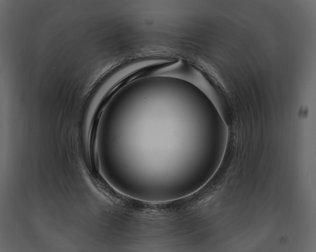 X0000091690538200708231442
