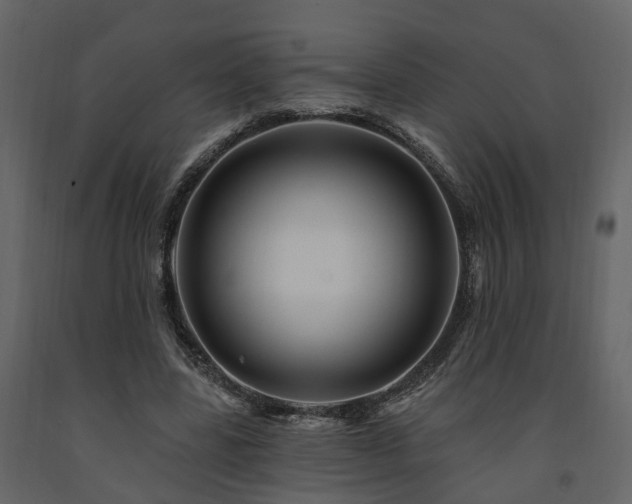 X0000091690539200708231442