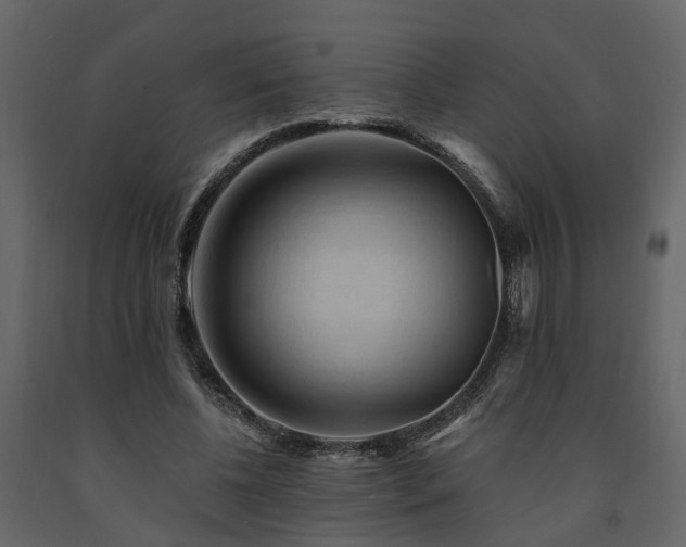 X0000091690540200708231442