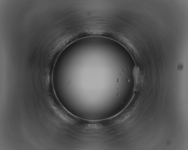 X0000091690541200708231442