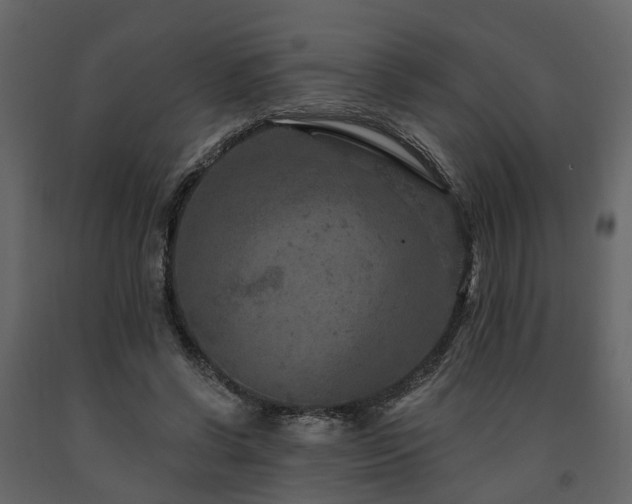 X0000091690542200708231442