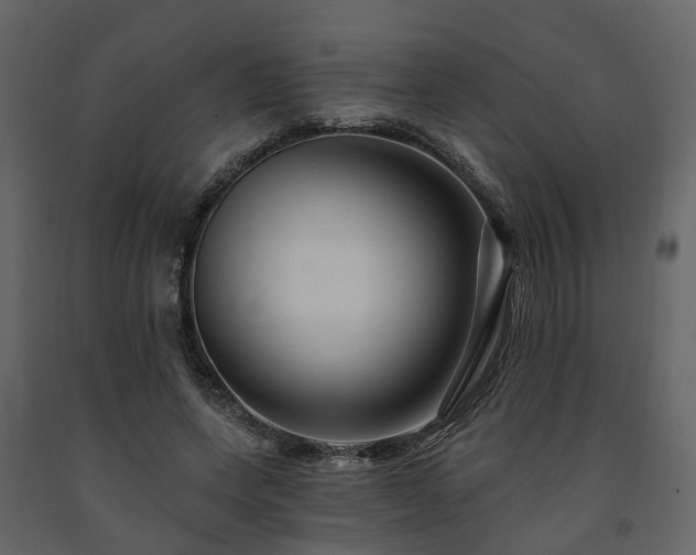 X0000091690543200708231442