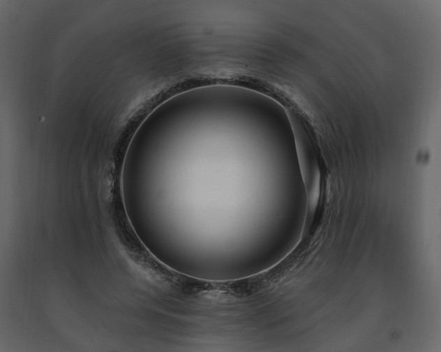 X0000091690544200708231442