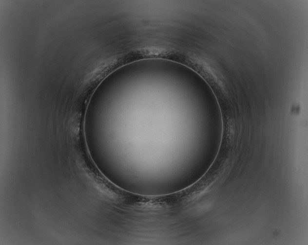 X0000091690545200708231442