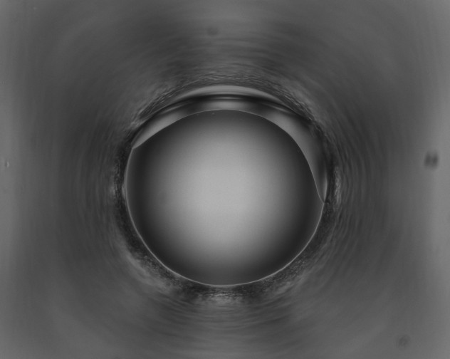 X0000091690546200708231442