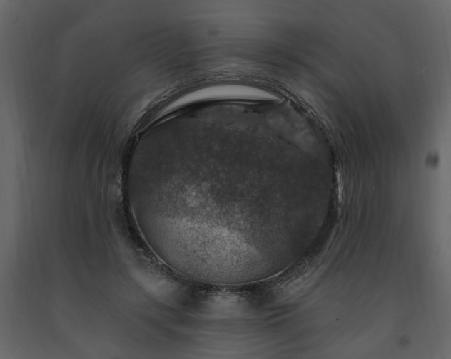 X0000091690547200708231442