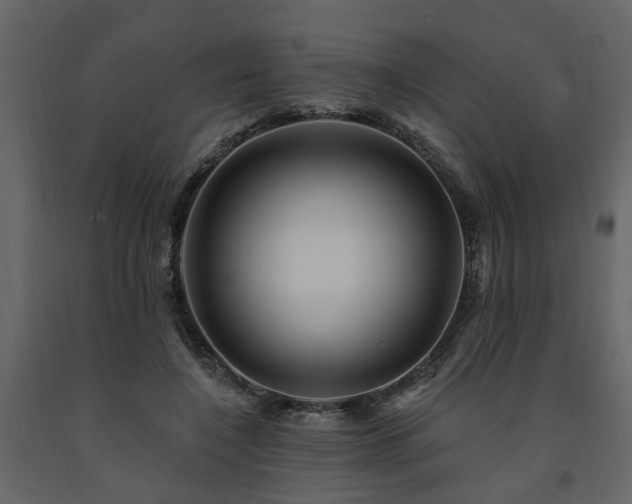 X0000091690548200708231442