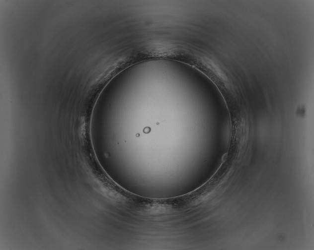 X0000091690549200708231442