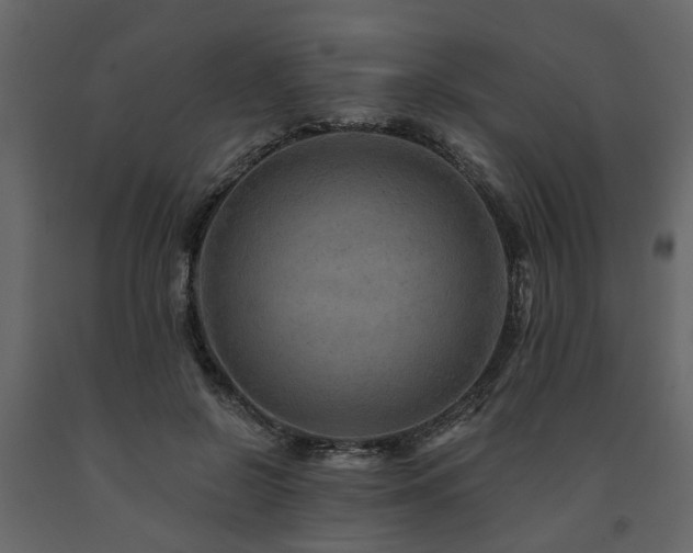 X0000091690550200708231442