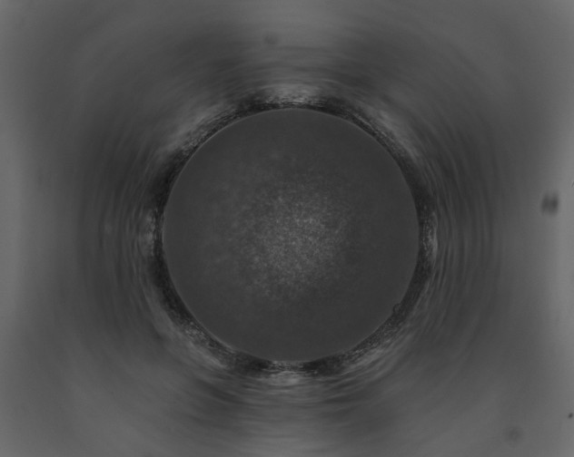 X0000091690551200708231442