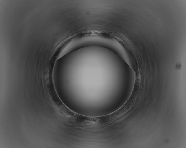 X0000091690552200708231442