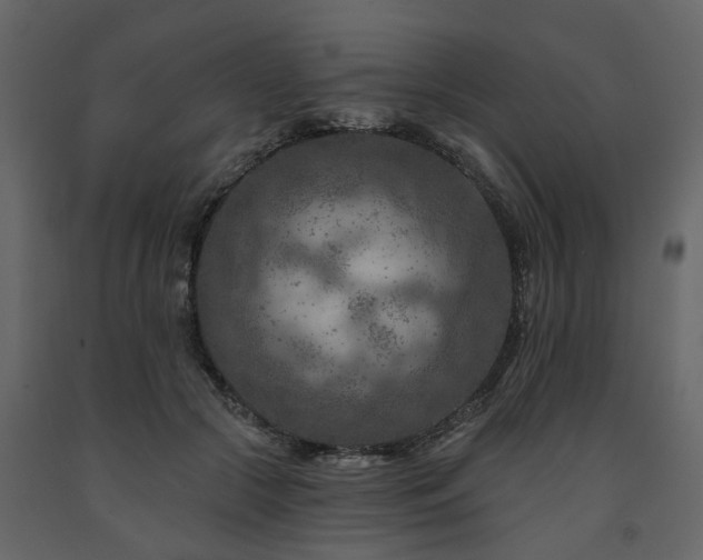 X0000091690553200708231442