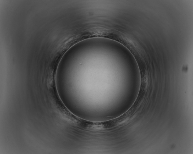 X0000091690554200708231442