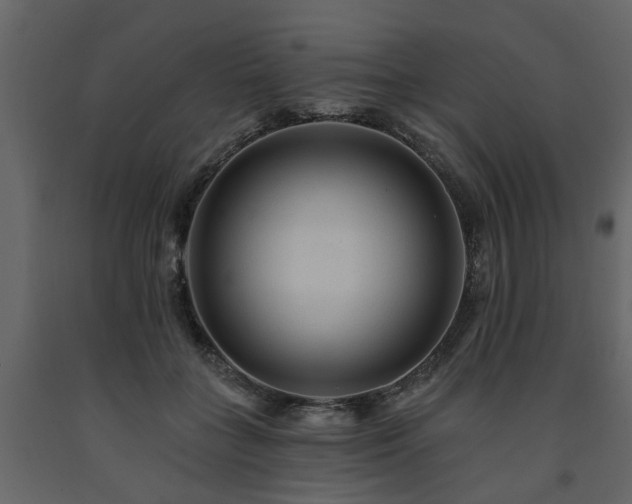 X0000091690555200708231442