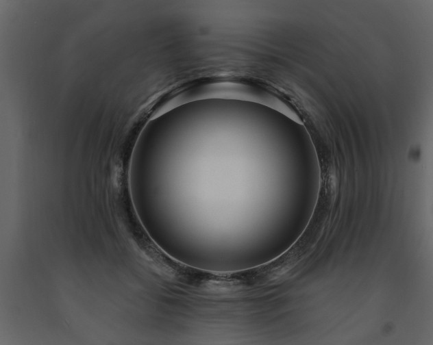 X0000091690556200708231442