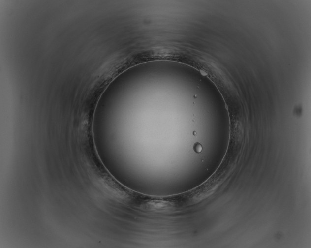 X0000091690557200708231442
