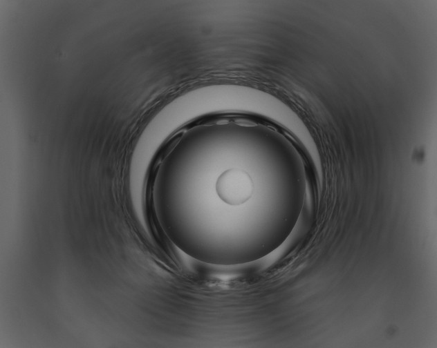 X0000091690558200708231442