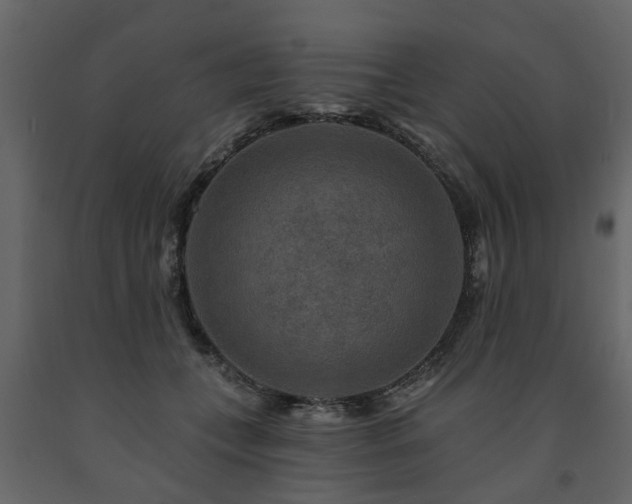 X0000091690559200708231442