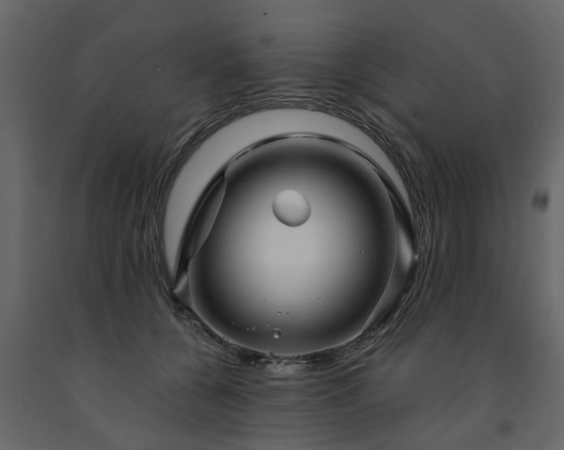 X0000091690560200708231442