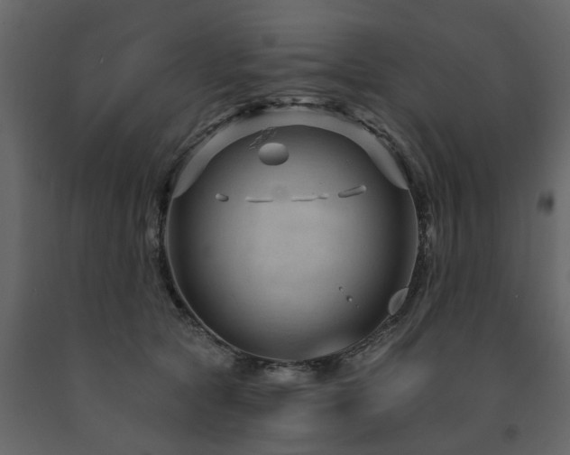 X0000091690561200708231442