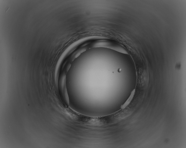 X0000091690562200708231442