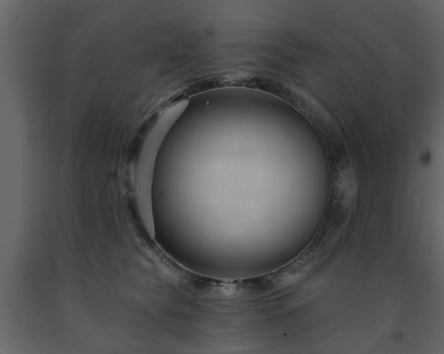 X0000091690565200708231442